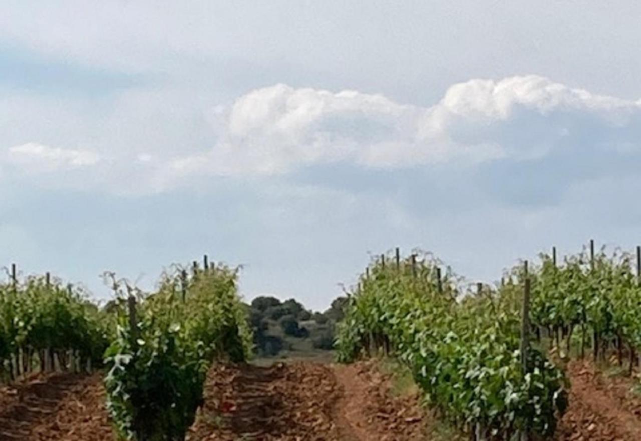 Apartamento Turistico Cerca Aranda De Duero La Ren Lecres Vadocondes Exterior photo